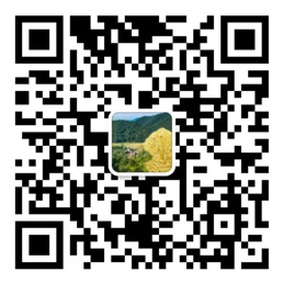 彩运网登录